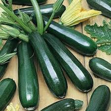 Zucchini Seed - Green