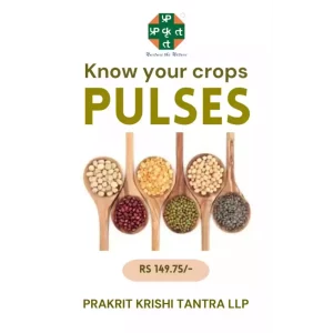 Pulses