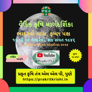 ૧૨. ભાદરવો માસ, કૃષ્ણ પક્ષ