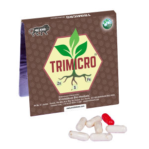 Trimicro